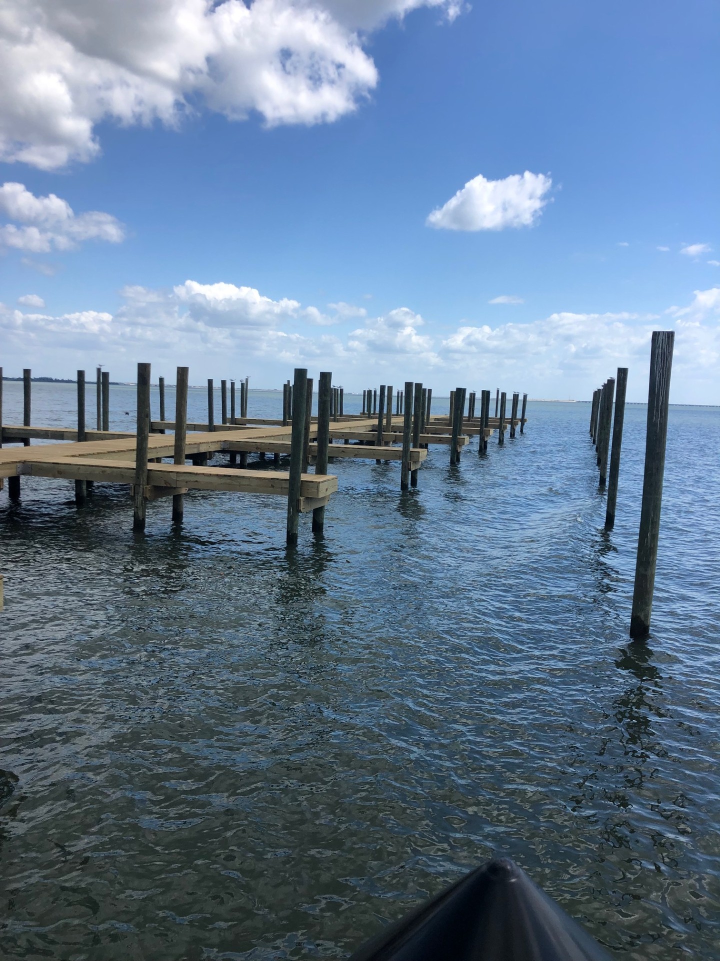 Commercial marina dock system in Tampa Bay